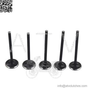 Engine Intake Exhaust Valve Kit for Yamaha Raptor 660R 2001-2005