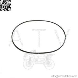 OEM Snowmobile Outer Head O-Ring  3003-226