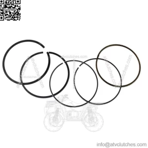 Standard Bore Piston Rings for Honda Rincon 680 Big Red Pioneer 700 102mm