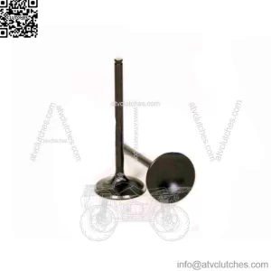 Exhaust Valve for 2015-2020 Honda TRX420FA5 FourTrax Rancher 4x4 wb (For: Honda)