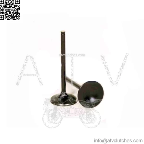 Exhaust Valve for 2015-2020 Honda TRX420FA5 FourTrax Rancher 4x4 wb (For: Honda)