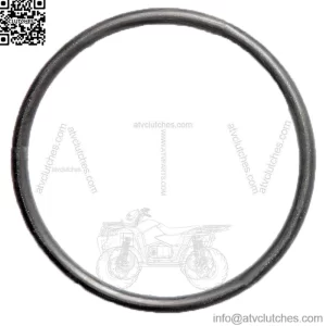 S.6798 O'Ring Fits David Brown