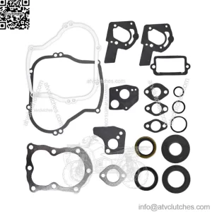 Fit For Briggs & Stratton 593433 699916 794294 Carb 21B000 Engine  Carburetor
