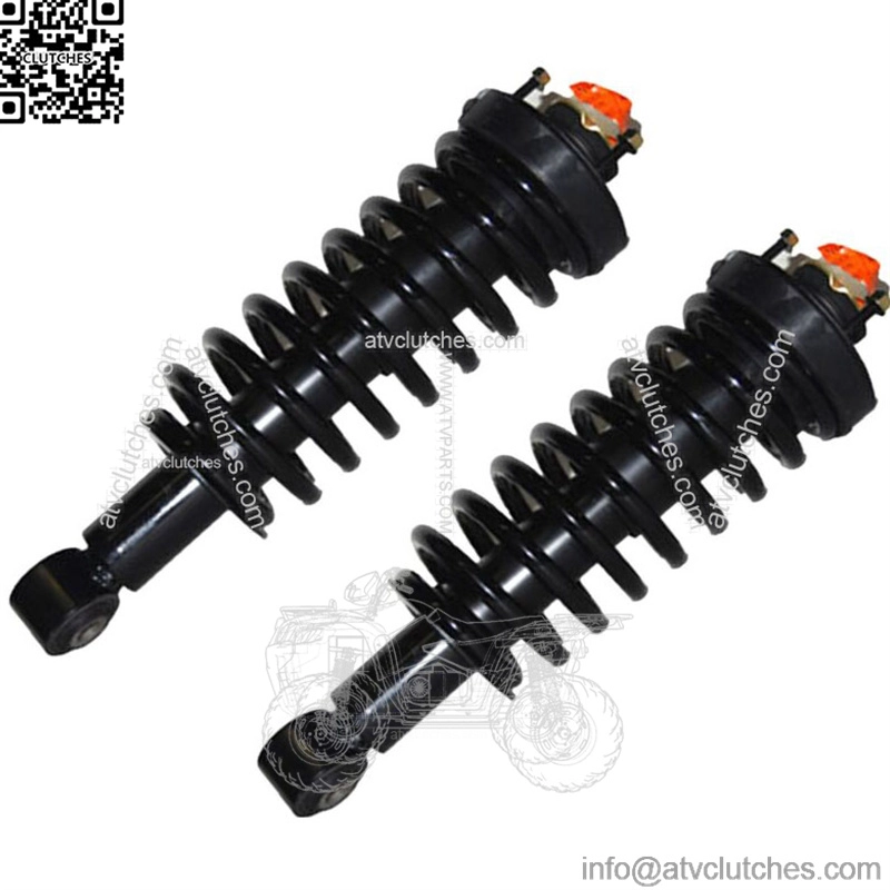 Front 2 Complete Struts Springs Mounts Fit 2001 - 2007 Toyota Sequoia