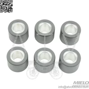 variator rollers / weights 20.9x17 - 10.00g, 6 pcs