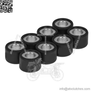 25x16 variator rollers / weights - 16.00g, 8 pcs