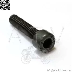 725533255, 7255332-55. 100% Brand New Genuine OEM SCREW.