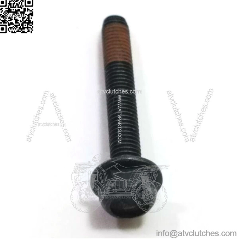 530016037, 5300160-37. 100% Brand New Genuine OEM SCREW M5-0 8x3 TAP. - Image 2