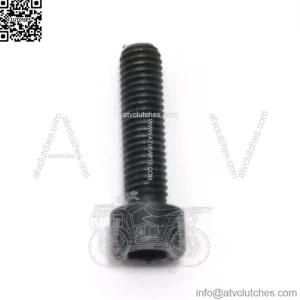 7255331-55, 725533155. 100% Brand New Genuine OEM Screw/Cylinder Screw