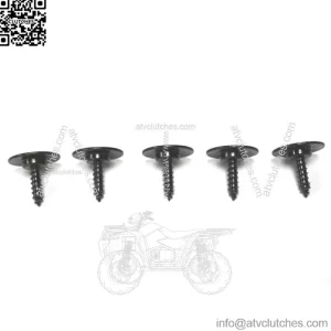 1 Set of 5 ATV Self Tapping Body Screws 0423-545