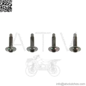 Tailgate Spoiler Molding Cap Mounting Screws for 2007-2013 Silverado Sierra (For: More than one vehicle)