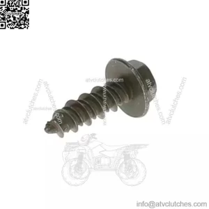 Polaris SCR-HXFL-M6X20 ZOD HI LO 7520055 OEM NEW