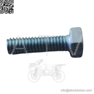 Screw for connecting plate