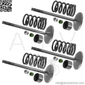 3022134 7043745 3610161 7081470 3022443 Intake Valve Kit For Polaris
