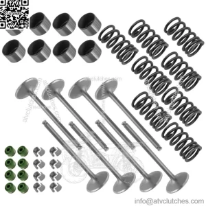 3022135 3022134 3610161 7081470 Exhaust & Intake Valve Kit For Polaris