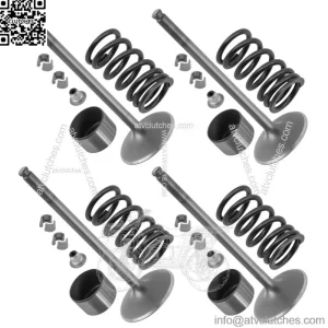 3022415 7043919 3610212 7081470 3022443 Intake Valve Kit For Polaris