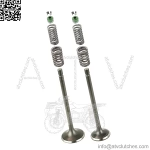 Cylinder Head Intake Exhaust Valve Kit for Honda XR200 XR200R 1980-2002