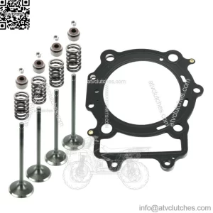 Cylinder Head Intake Exhaust Valve Kit for Arctic Cat 650 4X4 H1 2005-2011
