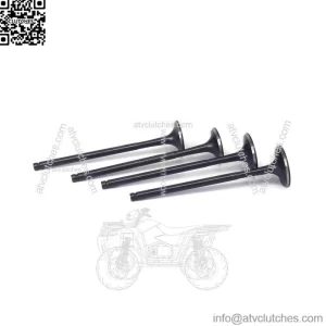 Motorcycle Engine Intake Exhaust Valves for Kawasaki KFX Suzuki WRF