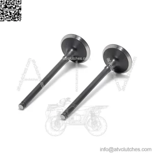 Motorcycle Engine Intake Exhaust Valves for Honda CRF Suzuki RMZ