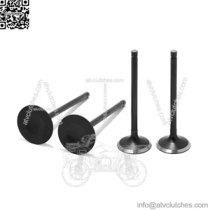 Intake & Exhaust Valves for Yamaha Raptor 700 / Rhino 700 / Viking 700 / Kodiak 700 / Grizzly 700