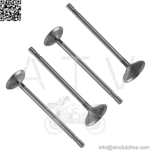 Exhaust & Intake Valve for Polaris Sportsman 800 EFI Touring 2008-2009 (For: Polaris Sportsman 800)