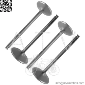 2x Intake & Exhaust Valve for Polaris Ranger 570 15-16 / Sportsman Forest 570 14 (For: Polaris Sportsman 570)