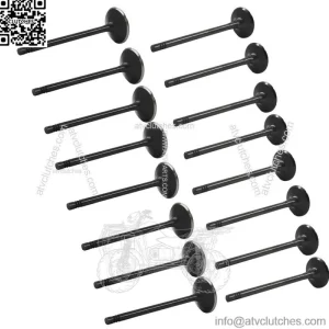 16* Fit For GM 2.0 - 2.2 - 2.4 ECOTEC DOHC Intake Exhaust Engine Valves