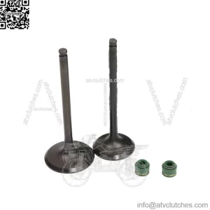 1988-2000 Honda TRx300 Fourtrax 300 Intake Exhaust Valves Seals (For: Honda)