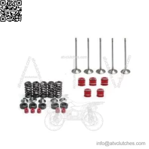 YFZ450 YFZ 450 Intake & Exhaust Valves Titanium Springs Kit Seals