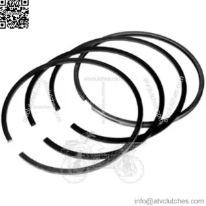 Ring Set 4.2 .020 - Fits Ford - DJPN6149T