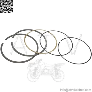 Pistons rings Polaris Sportsman Ranger 800 2202920