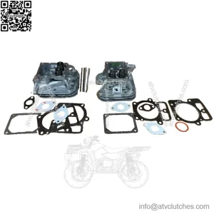 Briggs & Stratton Cylinder Head Kit (#597562, #796231, #796232) - Includes Push Rods for Engine Rebuild