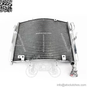 Motorcycle OEM Street Bikes radiation For Triumph