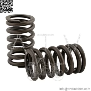 R-3900276 Valve Spring Fits AGCO