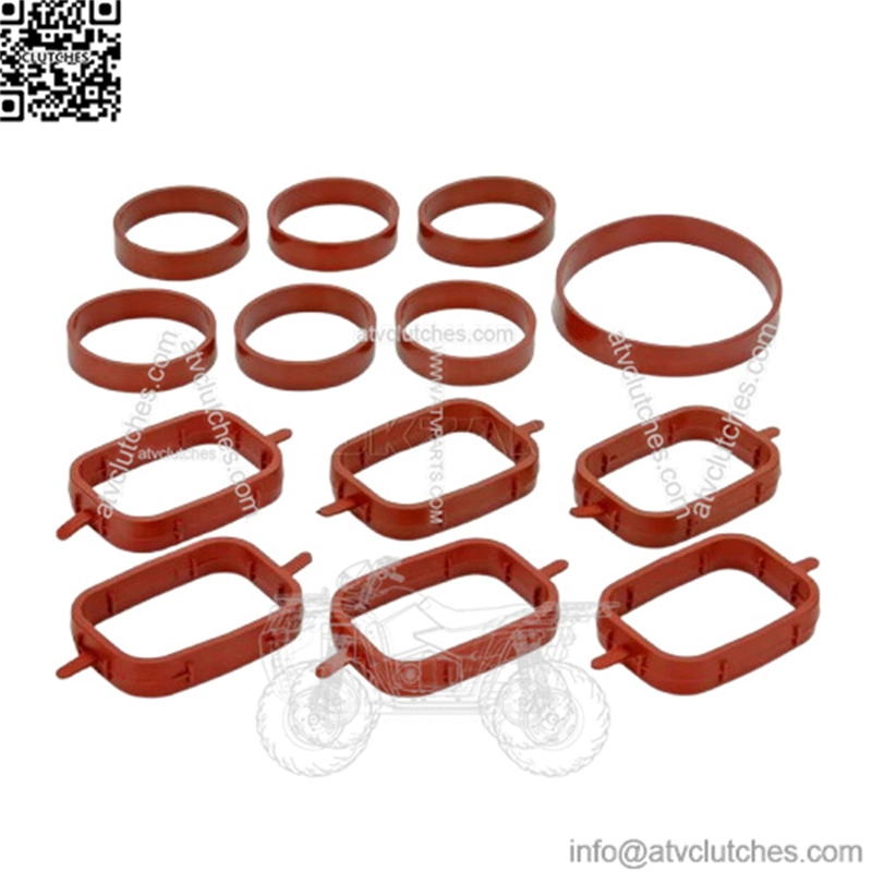 BMW diesel engine swirl flap repair leather ring set