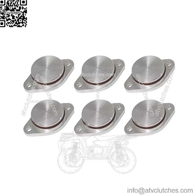 BMW Diesel Engine Eddy Swirl Flap Repair Kit 33MM 6PCS Without Leather Ring #Silver