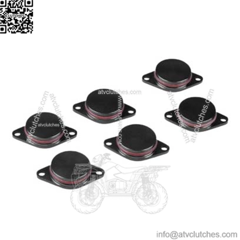BMW Diesel Engine Eddy Swirl Flap Repair Kit 33MM 6PCS Without Leather Ring #Black