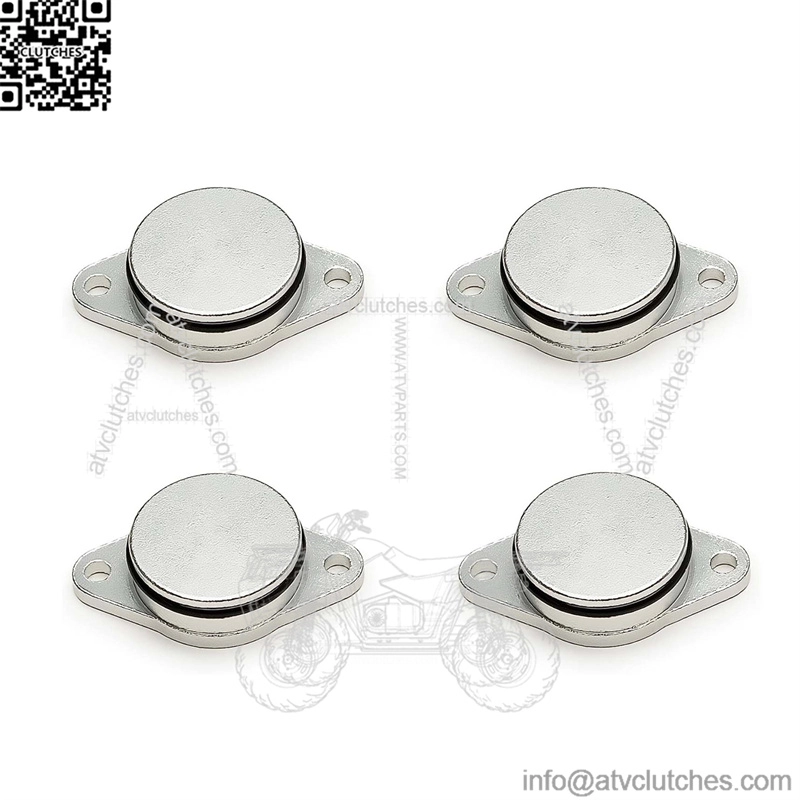 BMW Diesel Engine Eddy Swirl Flap Repair Kit 33MM 4PCS Without Leather Ring #Silver