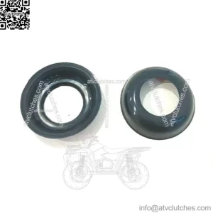 For Stanadyne Roosa Master Drive seals 10453R QTY 2