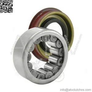 AK C10 For GM 7.5/8.0/8.5/8.6 Inch Rear Axle Bearing And Seal Kit (For:  Silverado 1500)