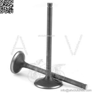 250cc intake and exhaust assembly for water cool engine