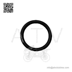 O-Ring 293300074, Replaces Can-Am, New
