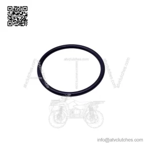 O-Ring 293300059