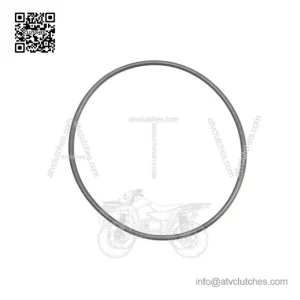 O-Ring 420831160, P420831160