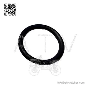 Gasket 293250285 Sea-Doo
