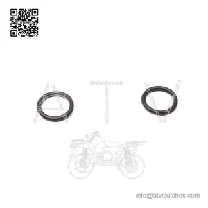 O-Ring 293300064
