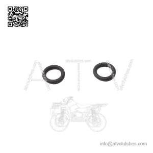 O-Ring 420250290