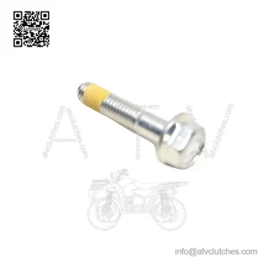Hex Flange Screw 207663044