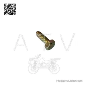 OEM Hex Screw 207161844 for 2001-07 Can-Am DS